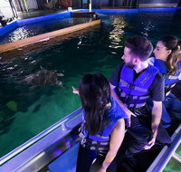 Glass Bottom Boat Tour - South Australia Travel