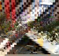 Grampians Wildflower Show - South Australia Travel