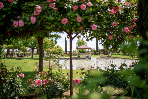 Griffith Spring Fest - South Australia Travel 0