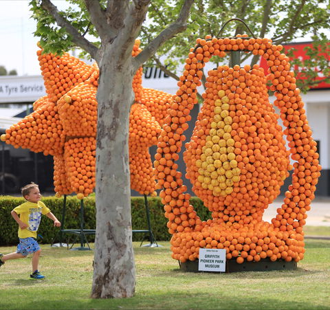 Griffith Spring Fest - South Australia Travel 1