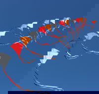 Harden Kite Festival - South Australia Travel