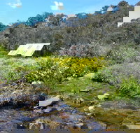 Hedonistic Hiking's Falls Creek to Hotham - South Australia Travel