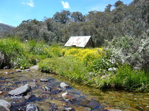 Hedonistic Hiking's Falls Creek To Hotham - South Australia Travel 0