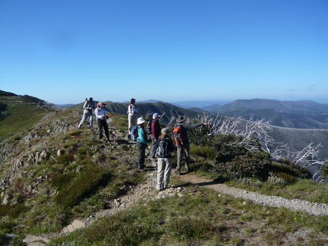 Hedonistic Hiking's Falls Creek To Hotham - South Australia Travel 1