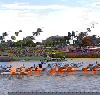 Jacaranda Dragon Boat Races - South Australia Travel
