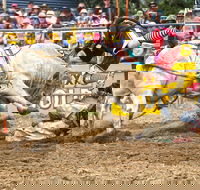 Jindabyne's Man From Snowy River Rodeo - South Australia Travel