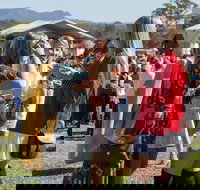 Lovedale Long Lunch - South Australia Travel