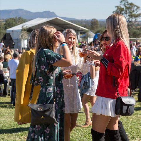 Lovedale Long Lunch - South Australia Travel 0