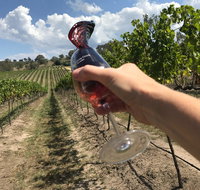 Megalong Creek Estate Fathers Day - South Australia Travel