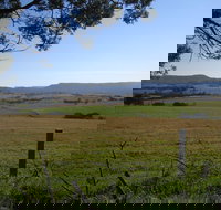 Milton Village Showground Markets - South Australia Travel