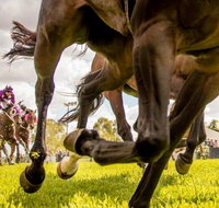 Night Markets and Race Day - South Australia Travel