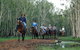 Night Horse Ride And Dinner - thumb 0