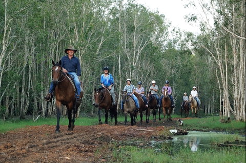 Night Horse Ride And Dinner - South Australia Travel 0