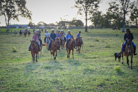 Night Horse Ride And Dinner - South Australia Travel 1