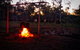 Night Horse Ride And Dinner - thumb 2