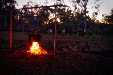 Night Horse Ride And Dinner - South Australia Travel 2