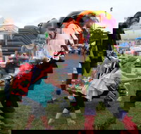 Pambula Show - South Australia Travel