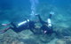 Recovery Of The Great Barrier Reef Expedition - thumb 1
