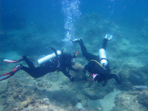 Recovery Of The Great Barrier Reef Expedition - South Australia Travel 1