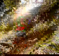 Run Dungog - South Australia Travel