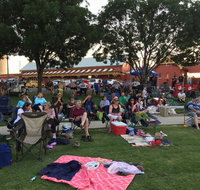 Temora New Years Family Fun Night - South Australia Travel