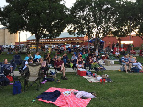 Temora New Years Family Fun Night - South Australia Travel 0