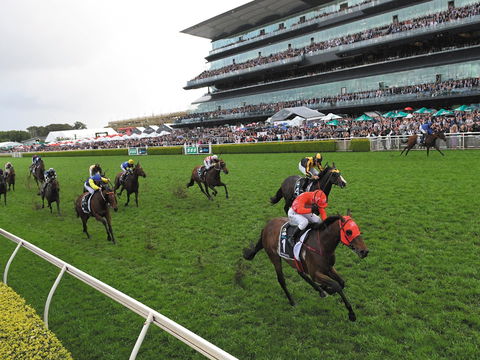 The TAB Everest: The World’s Richest Race On Turf - South Australia Travel 0