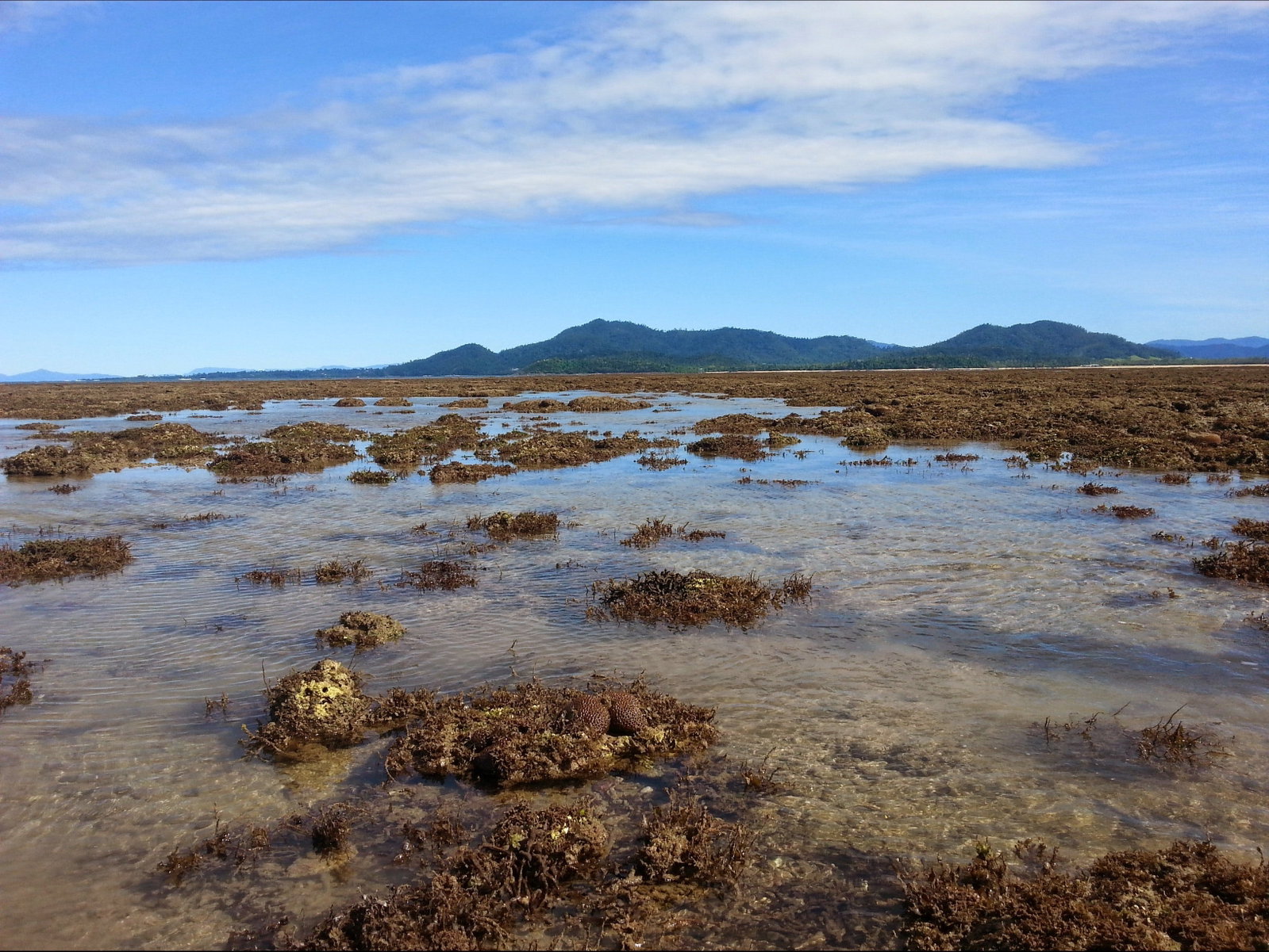 Kurrimine Beach QLD South Australia Travel