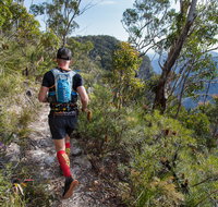 Wild Earth Coastal High 50