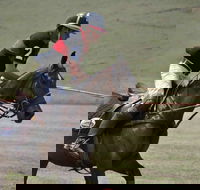 Wirragulla Annual Polo Tournament - South Australia Travel