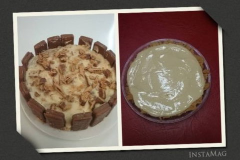 The Magnolia Tree - - South Australia Travel 1