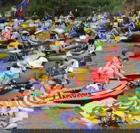 Australia Day Celebrations Gunnedah - South Australia Travel
