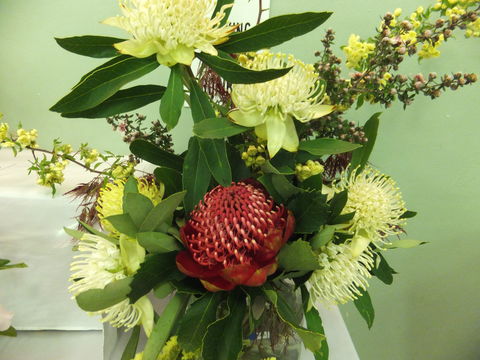Blackheath Flower And Craft Show - South Australia Travel 0