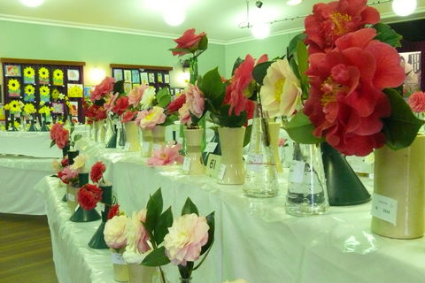 Blackheath Flower And Craft Show - South Australia Travel 1