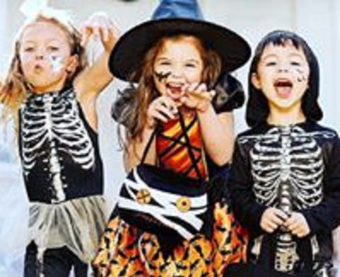 Boo! At The Zoo! - South Australia Travel 2