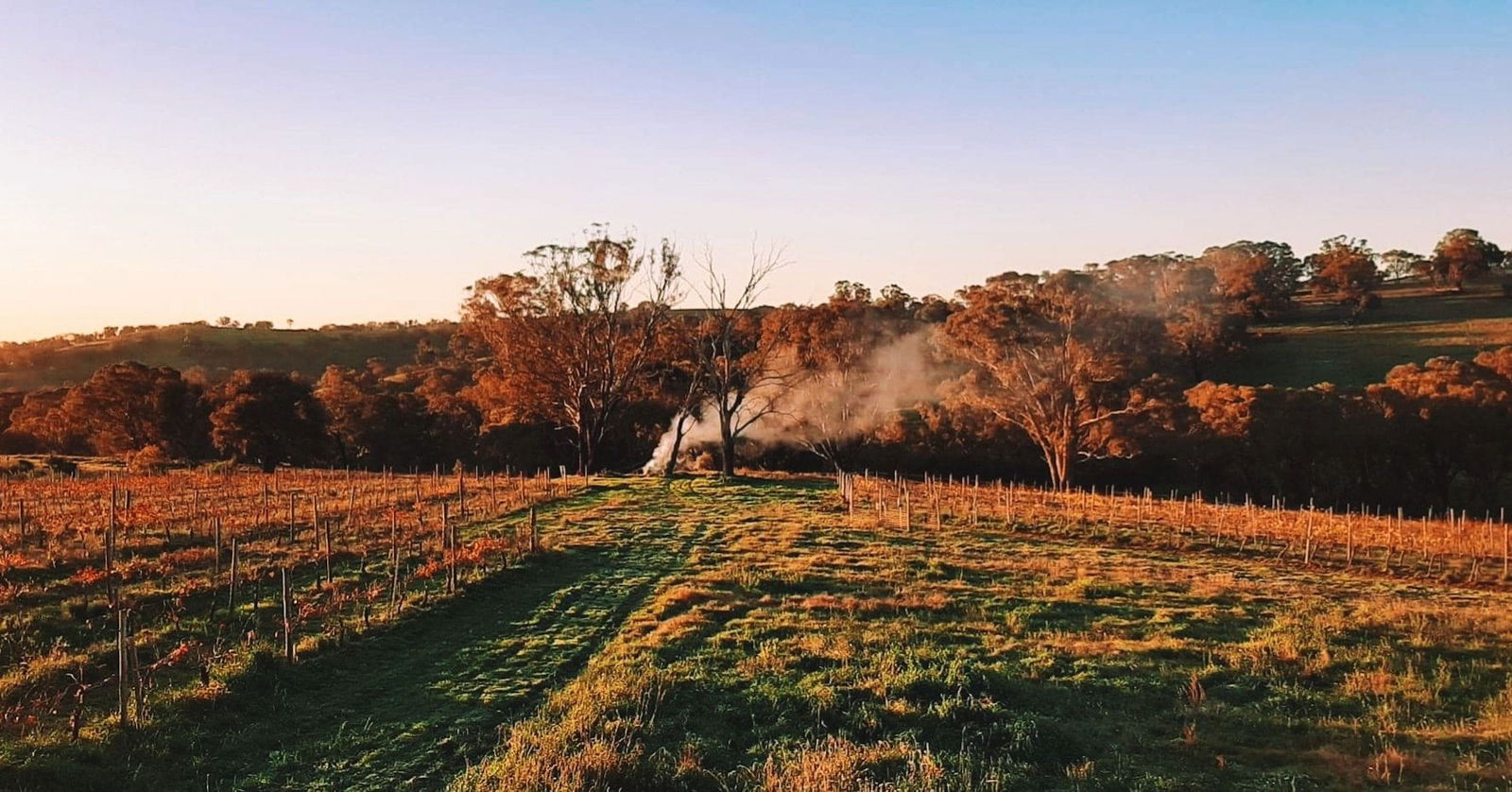 Lidster NSW South Australia Travel
