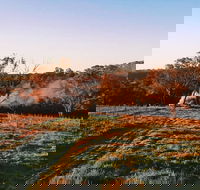 Cargo Road Wines Grande Fiamma - South Australia Travel