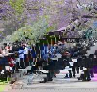 Celtic Festival of Queensland - South Australia Travel