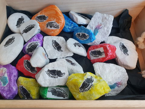 Cuttle-Rock Challenge - CUTTLEFEST 2020 - Whyalla - South Australia Travel 0