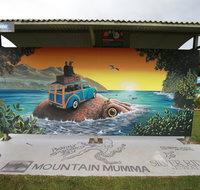 Davies Construction International Mural Fest - South Australia Travel