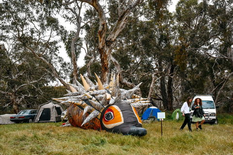 Field Good Festival - South Australia Travel 2
