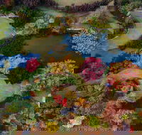 Glenrock Gardens Open Garden - South Australia Travel