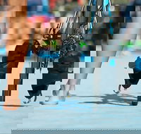 Gold Coast Triathlon Training - South Australia Travel