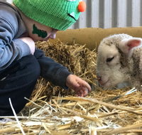 Horsham Agricultural Show - South Australia Travel