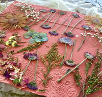 Introduction to Paper Making - South Australia Travel