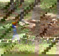 July 2020 Holidays- Go Wild at the Mt Lofty Adventure Hub - South Australia Travel