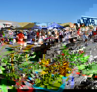 Maclean Macmarket Day - South Australia Travel