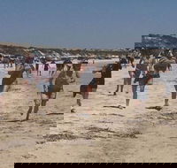 Perlubie Beach Sports Day - South Australia Travel
