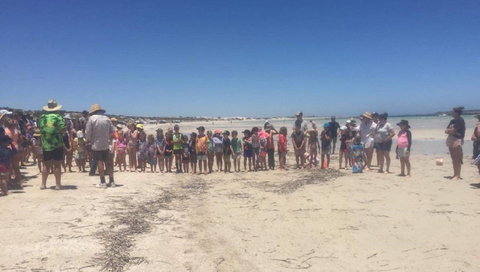 Perlubie Beach Sports Day - South Australia Travel 1