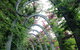 Photography Class / Tour Of Brisbane - thumb 0